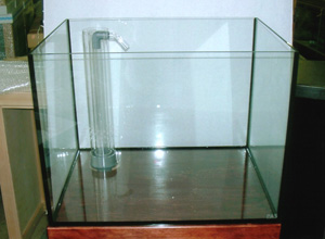 プレココーポレーション ガラス水槽 単体 激安通販ページ 「ルパシカ」